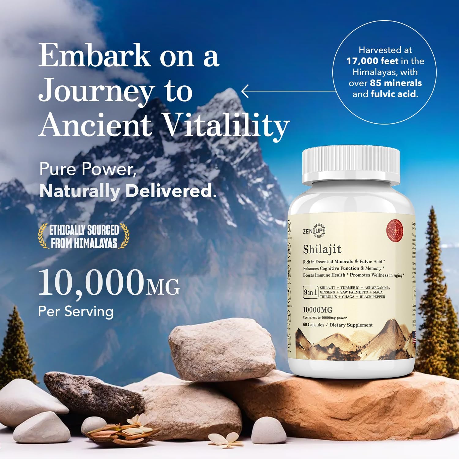 Shilajit Capsules 10000mg - 60 Capsules | Pure Shilajit Extract 9 in 1 Formula with Essential Minerals, Fulvic Acid | Enhances Cognitive Function, Memory and Boosts Immune Health - Image 3