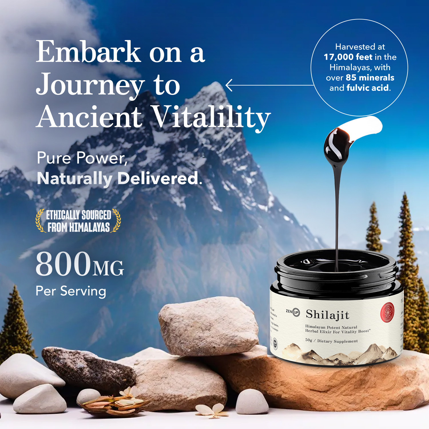 50G Shilajit Pure Himalayan Organic Shilajit Resin, 800mg High Potency, Golden Grade A Golden A-Grade Nutrients, 85+ Trace Minerals & Fulvic Acid, Immune Booster & Natural Energy - Image 2